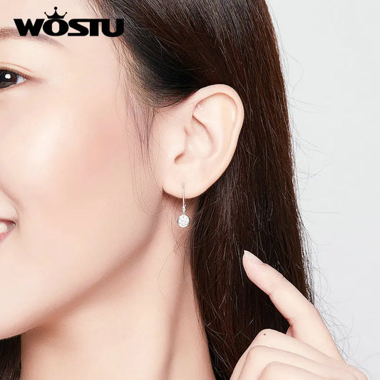 WOSTU 925 Sterling Silver Exquisite Round Zircon Drop Earrings