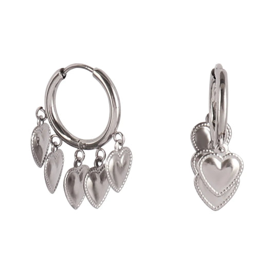 Stainless Steel Hoop Earrings for Women
