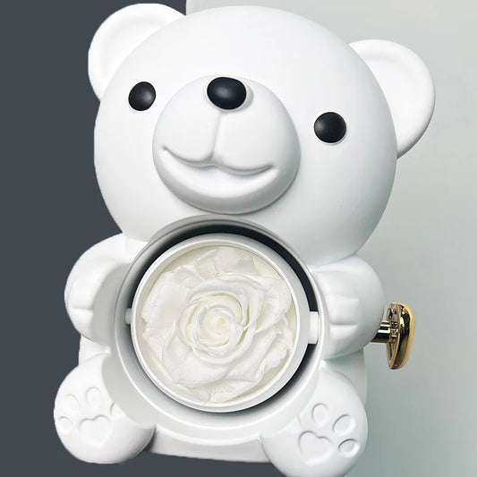 Eternal Rose Teddy Bear Gift Box with Necklace