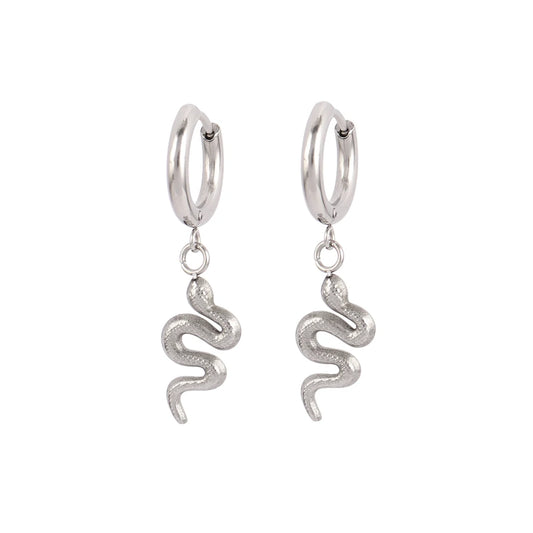 Stainless Steel Hoop Earrings for Women